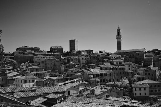 Monochrome view of Siena's historic skyline with iconic Torre del Mangia.