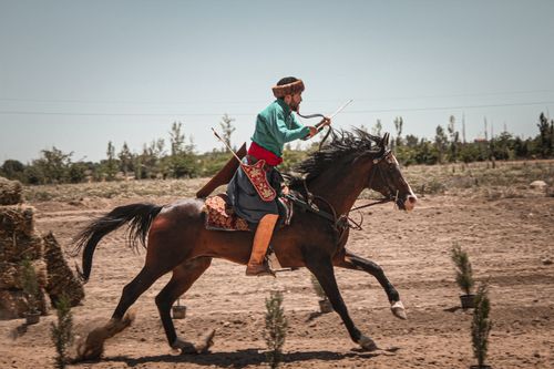 Free A traditional archer on horseback displays skills in Konya, Türkiye during daytime outdoors. Stock Photo