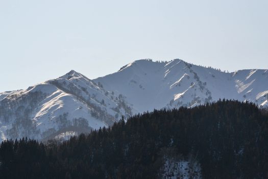 A serene view of snow-covered mountain peaks contrasting with a dark forest.