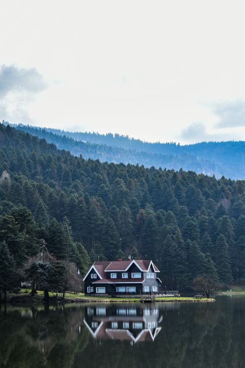 Free Serene lakeside house surrounded by lush forest in Gölcük Köy, Bolu, Türkiye. Stock Photo