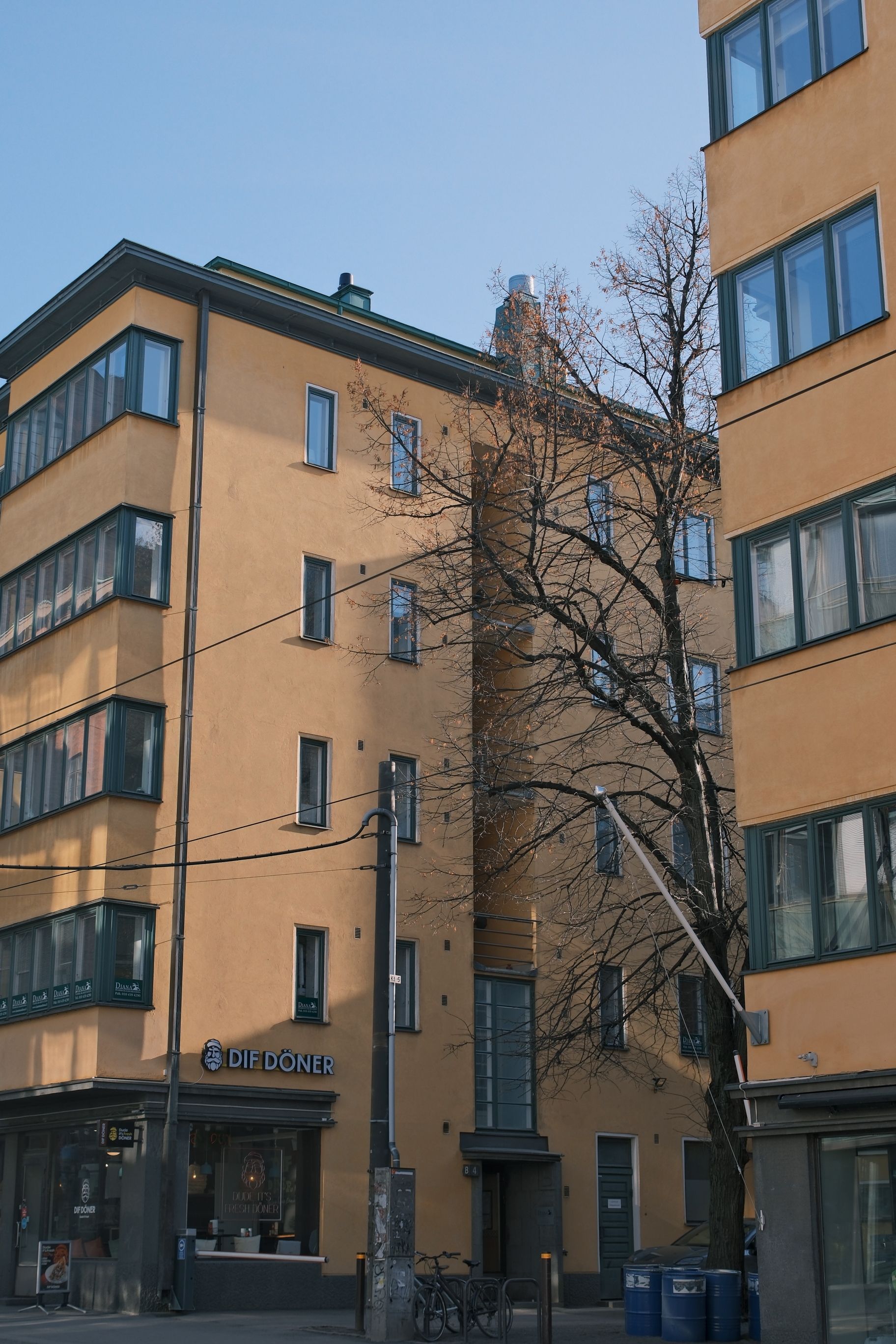 Urban Street View with Yellow Buildings and Tree