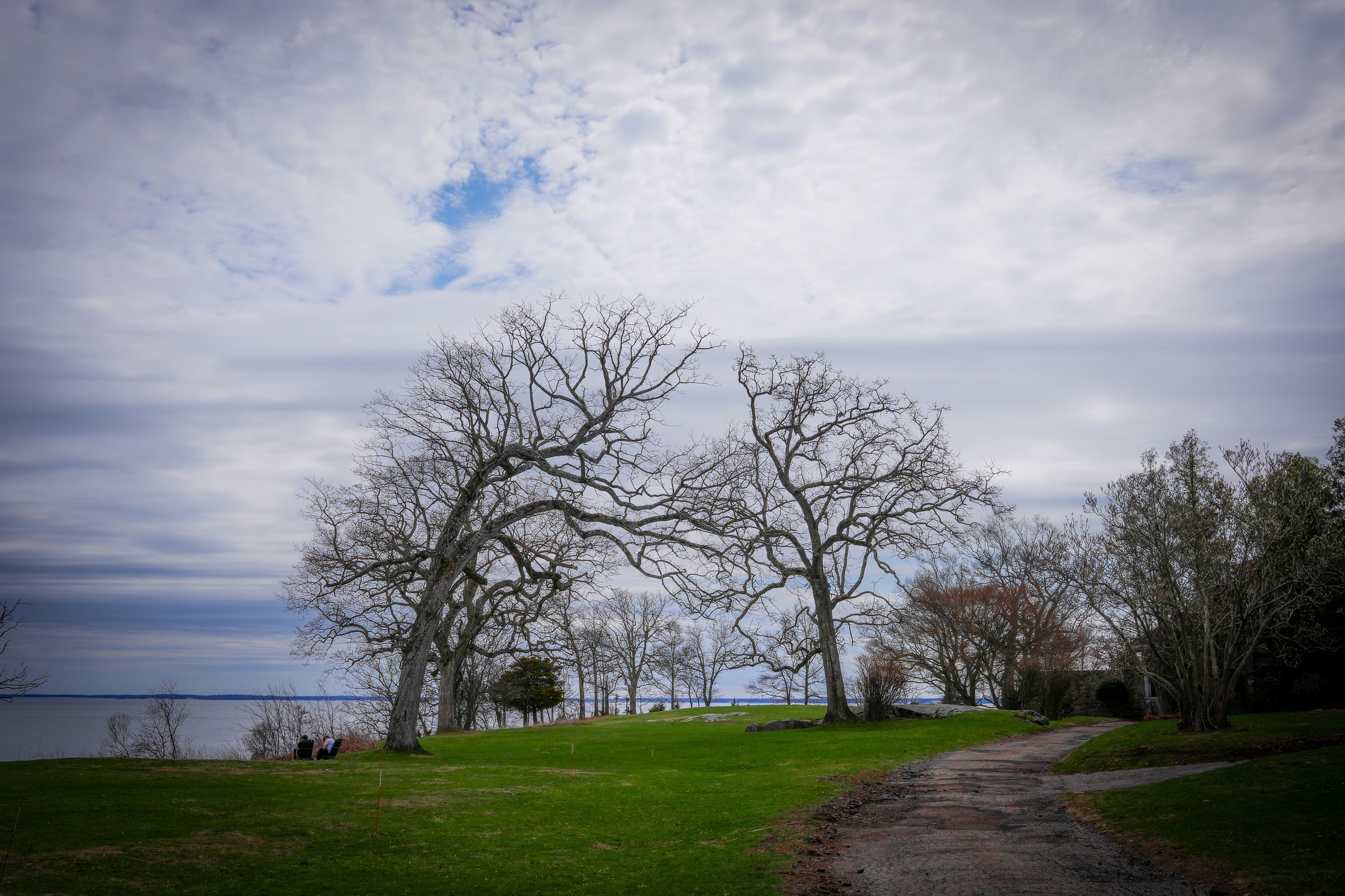 Serene Lakeside Landscape with Bare Trees · Free Stock Photo
