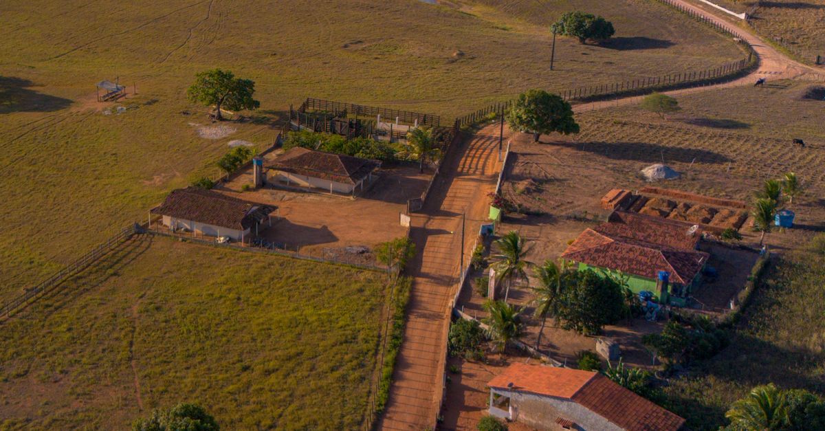 Aerial View Of Rural Landscape In Alagoas Brazil Free Stock Photo aerial-view-of-rural-landscape-in-alagoas-brazil-free-stock-photo
