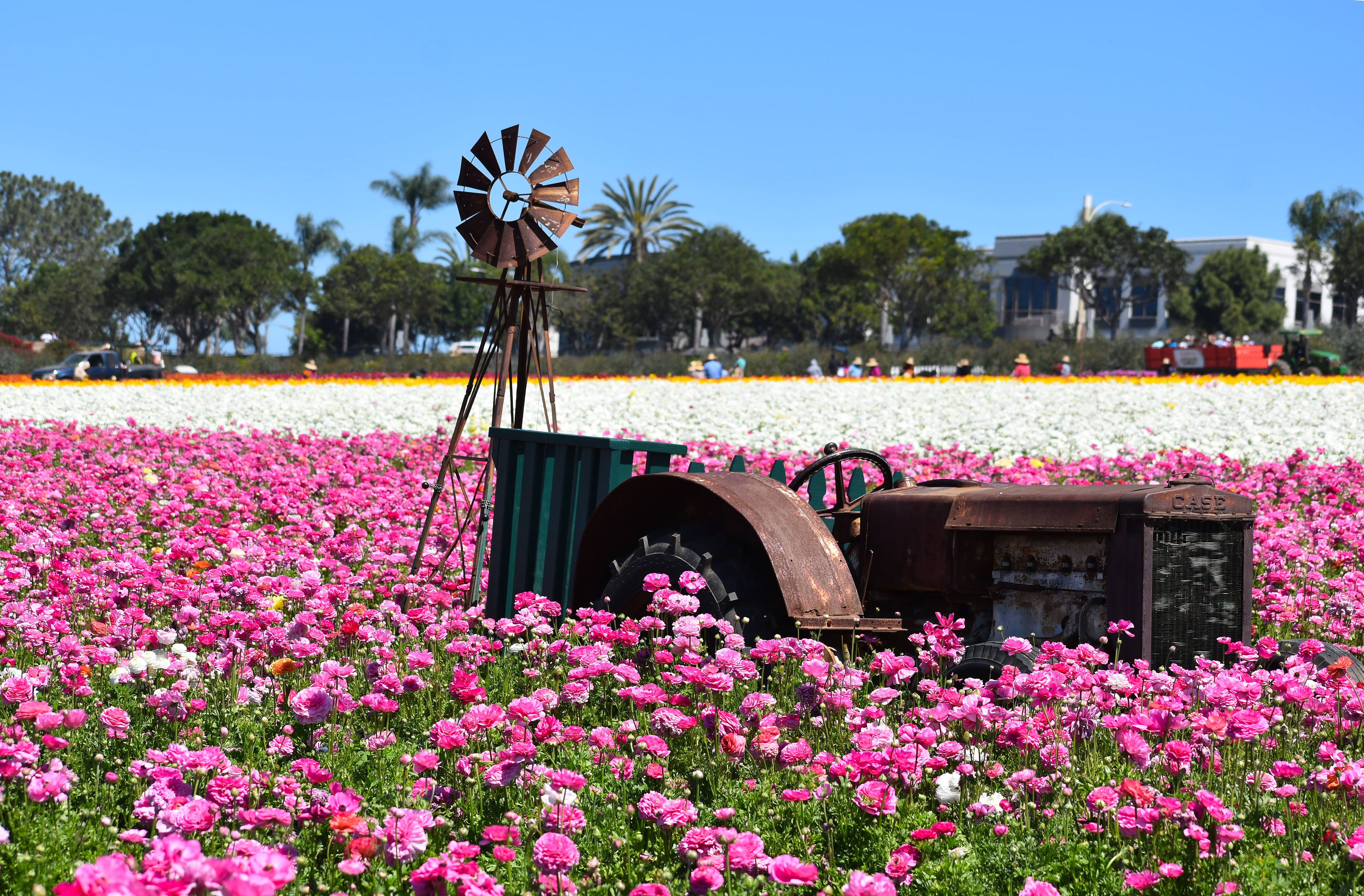 Carlsbad, California: The Beach Town Behind 2026's Biggest US Search Spike