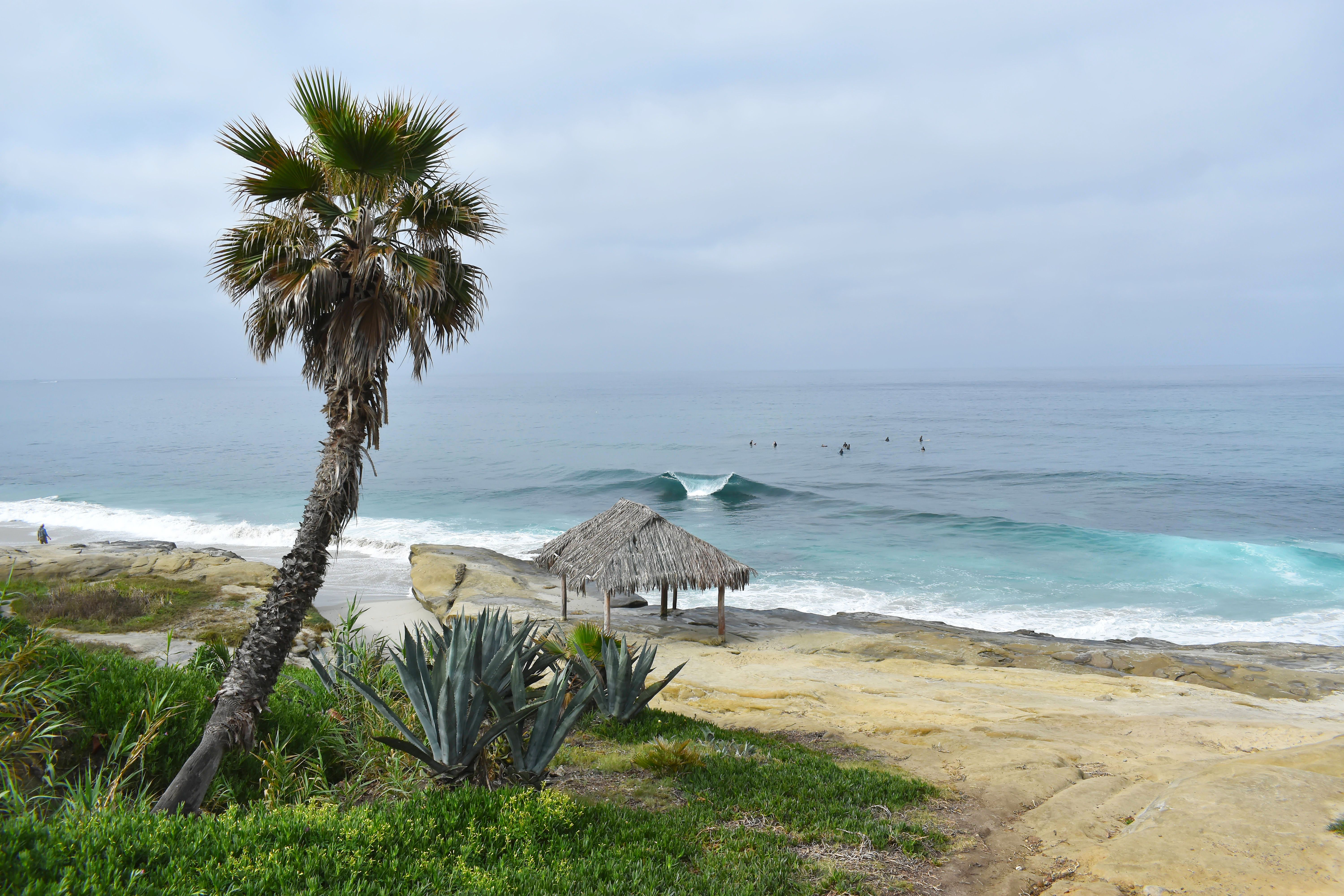 Windansea Beach