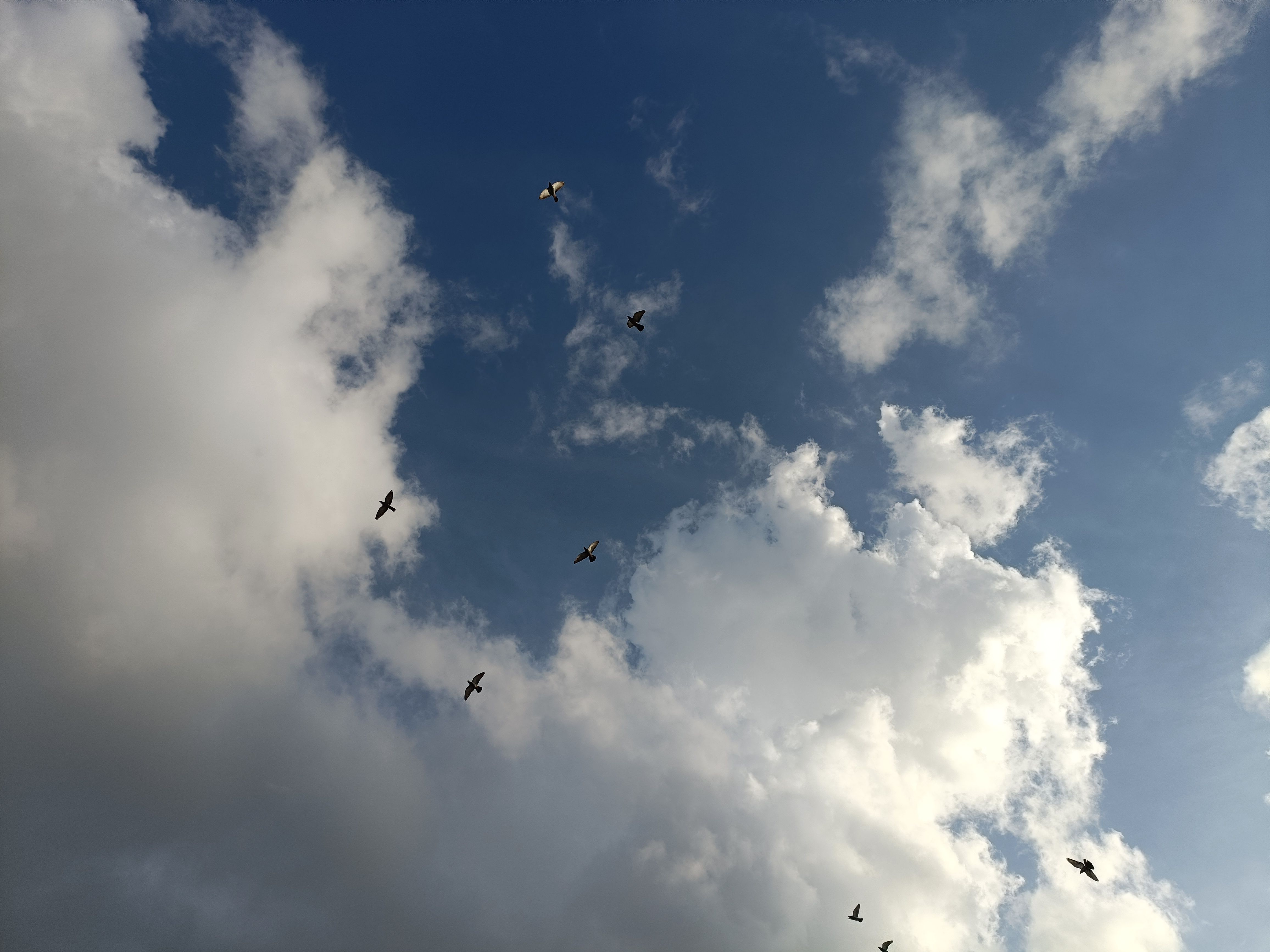 Foto: Jeeva / Pexels