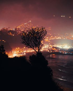 A silhouetted tree overlooks a coastal city with twinkling lights at night, creating a stunning landscape view.