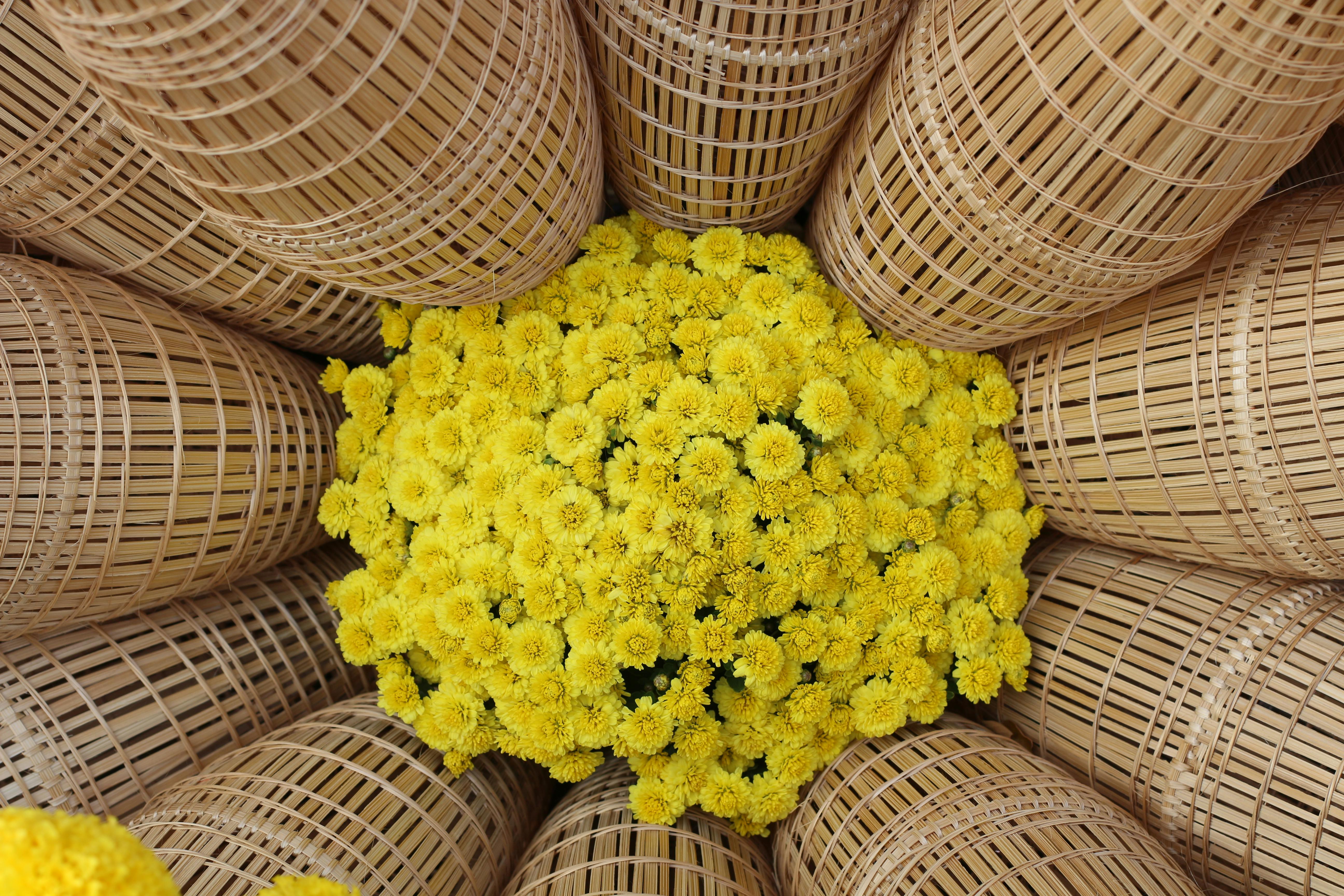 19 best floral arrangements and plants to gift this Mother’s Day - NBC News — Photo by Kushie In Vietnam on Pexels