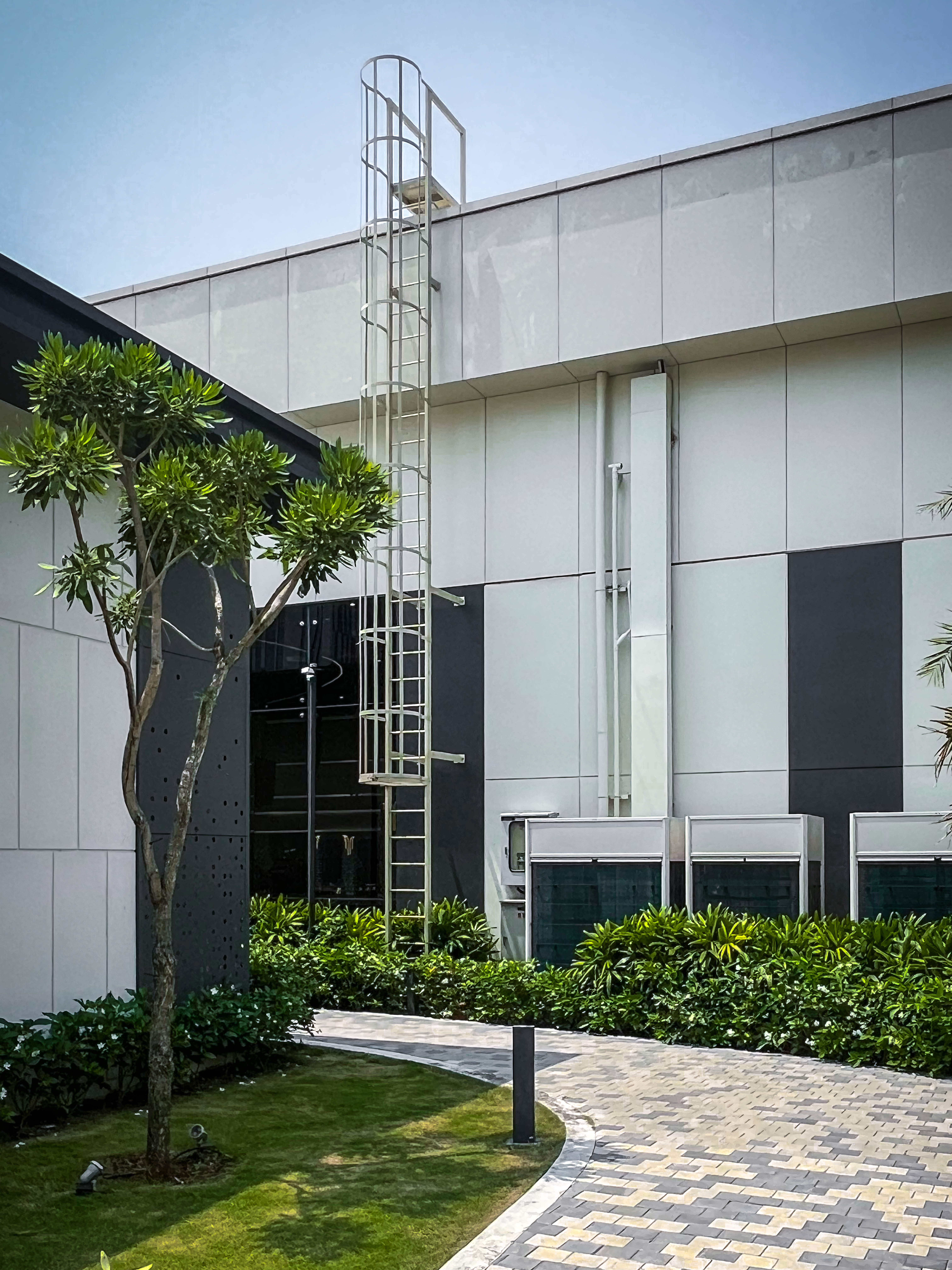 Modern Architectural Wall with Ladder and Greenery · Free Stock Photo
