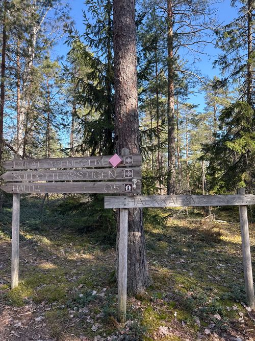 Free Explore the wooden hiking signs in the serene forests of Nuuksio National Park, Finland. Stock Photo
