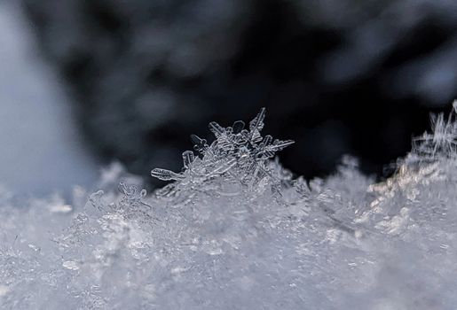 Detailed macro photograph of snowflakes highlighting their delicate structures, captured in a winter setting.