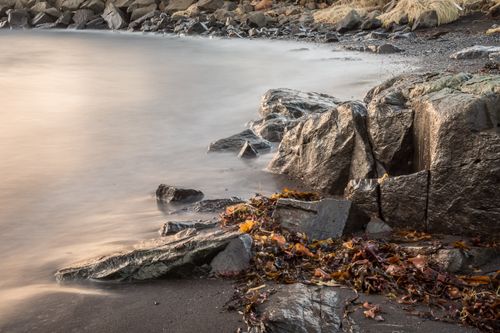 Free A tranquil scene of rocky coastline with gentle waves and autumn leaves at sunset. Stock Photo