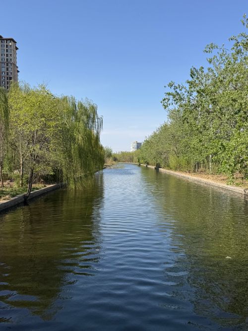 Free Idyllic canal view flanked by trees under clear blue skies, perfect for nature and tranquility themes. Stock Photo