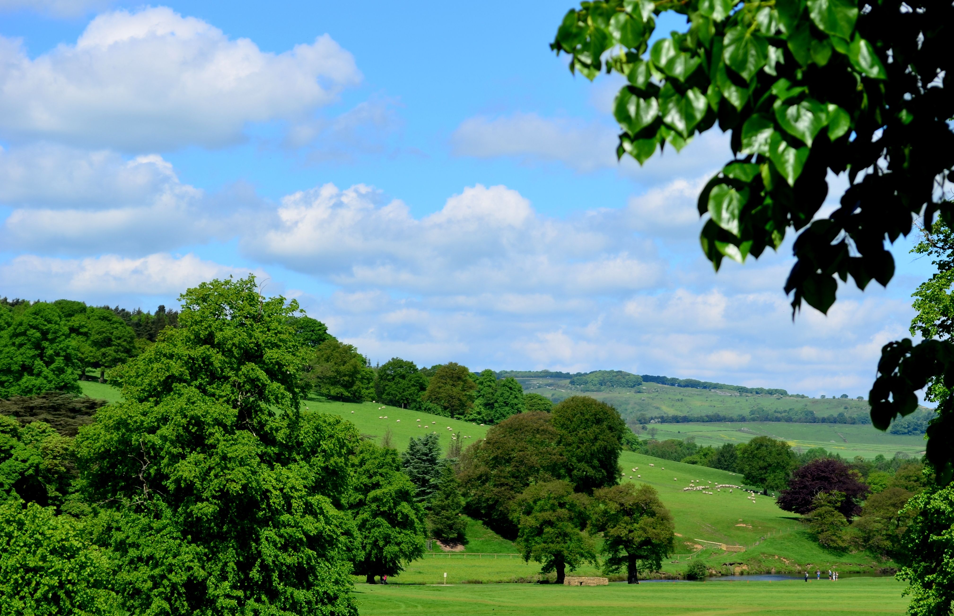 入手不可能！A Background to English(英国の環境) English Landscape Photos, Download The BEST Free English Landscape