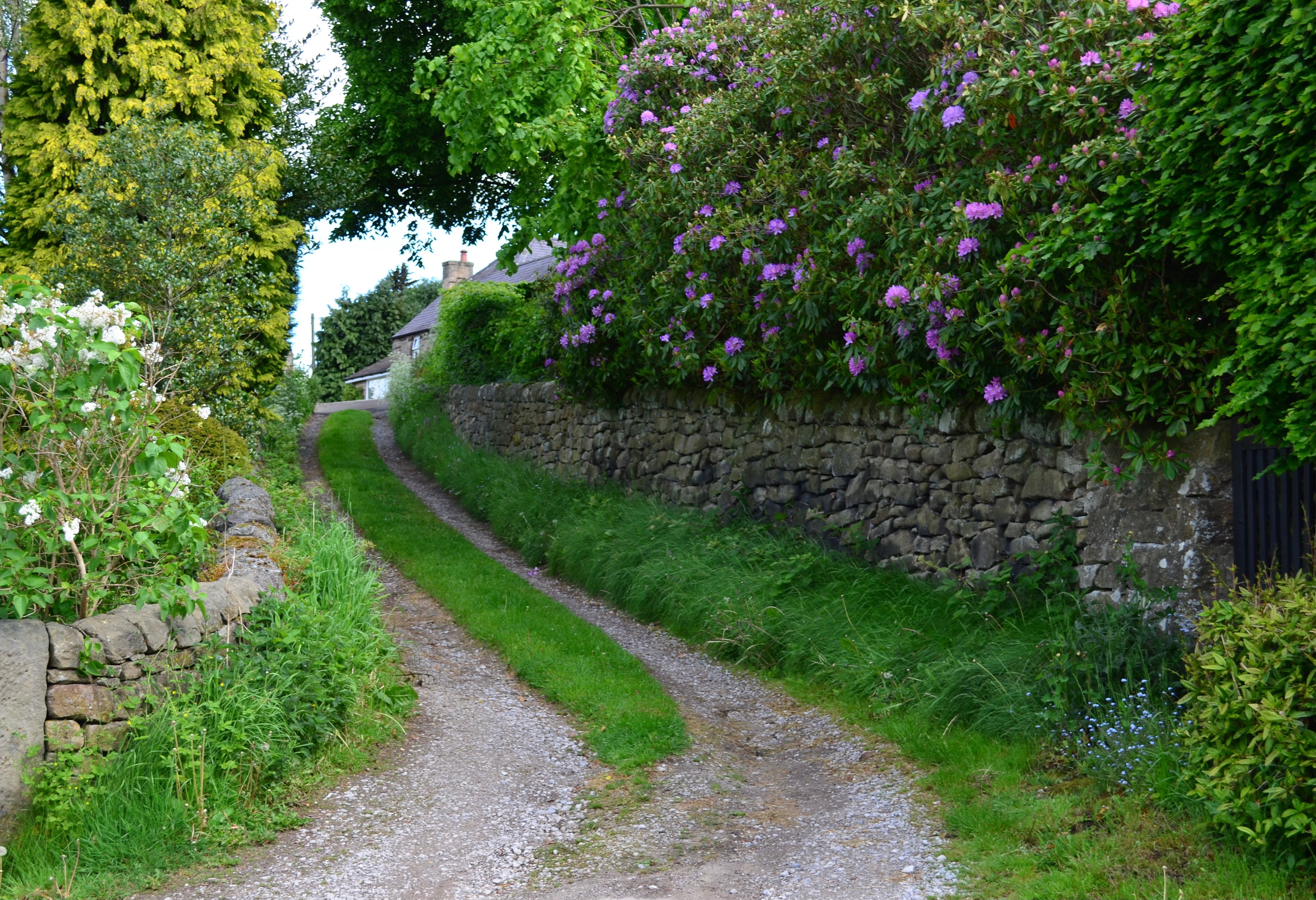 Charming Countryside Path with Stone Walls and Flowers · Free Stock Photo