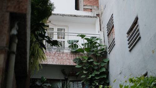 Spacious home for an easygoing housemate — Lane Cove — photo 1