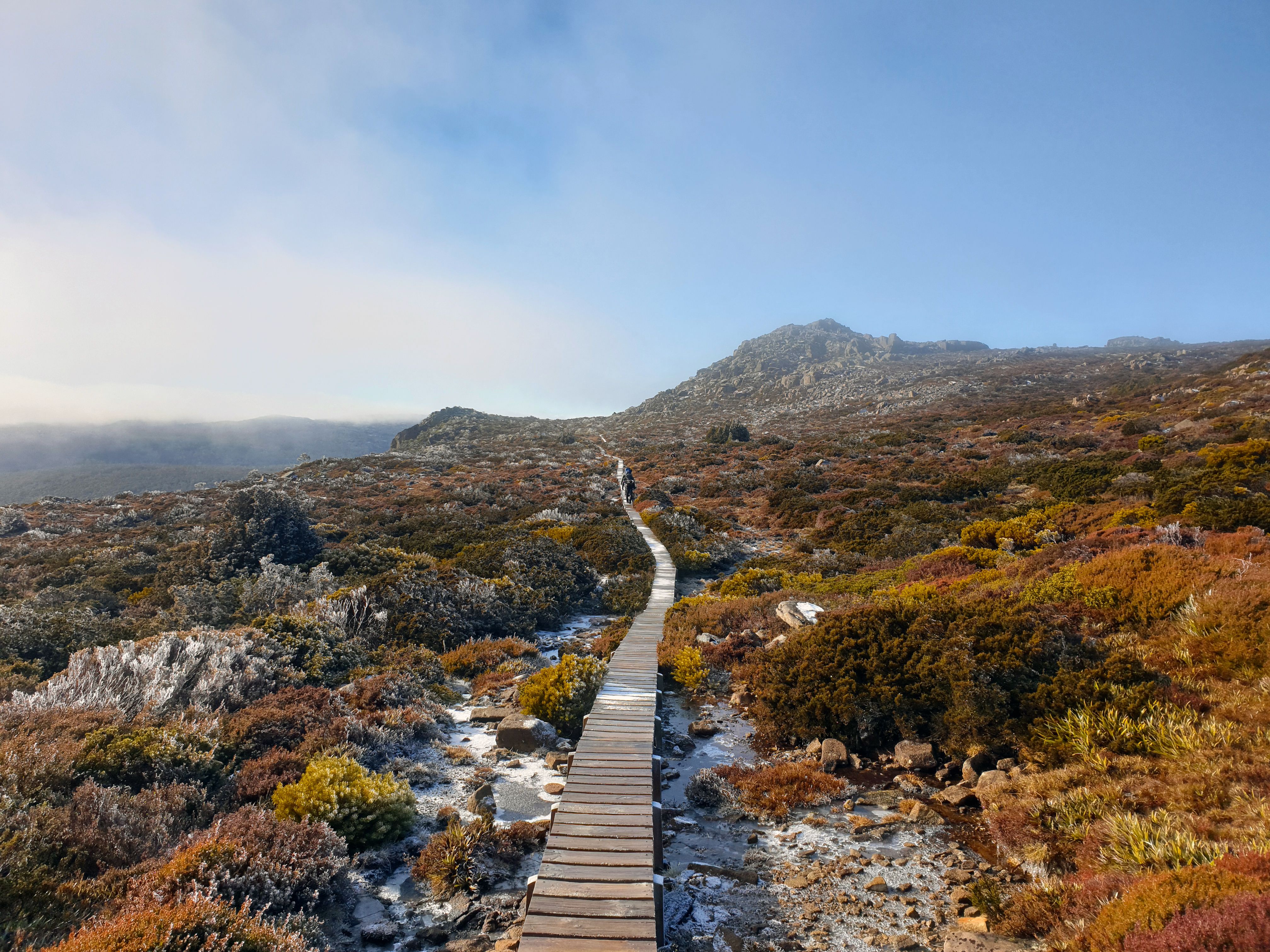 A picturesque wooden path leads through the rugged winter landscape of Mount Field, Tasmania.