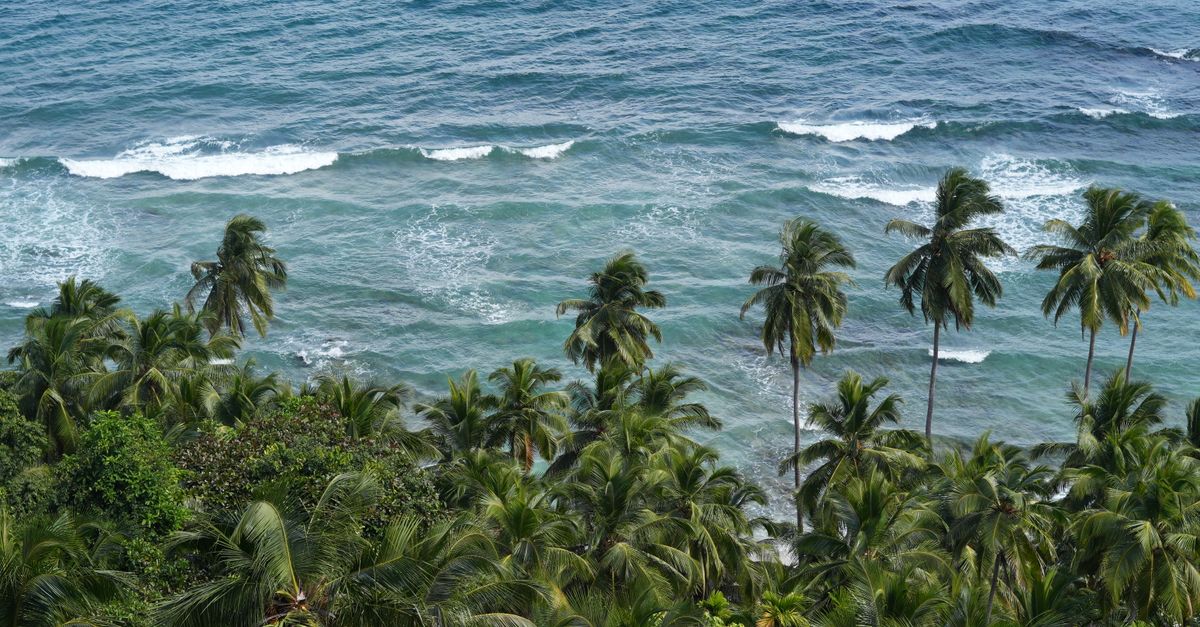 Saba tropical coastline — Caribbean island travel guide