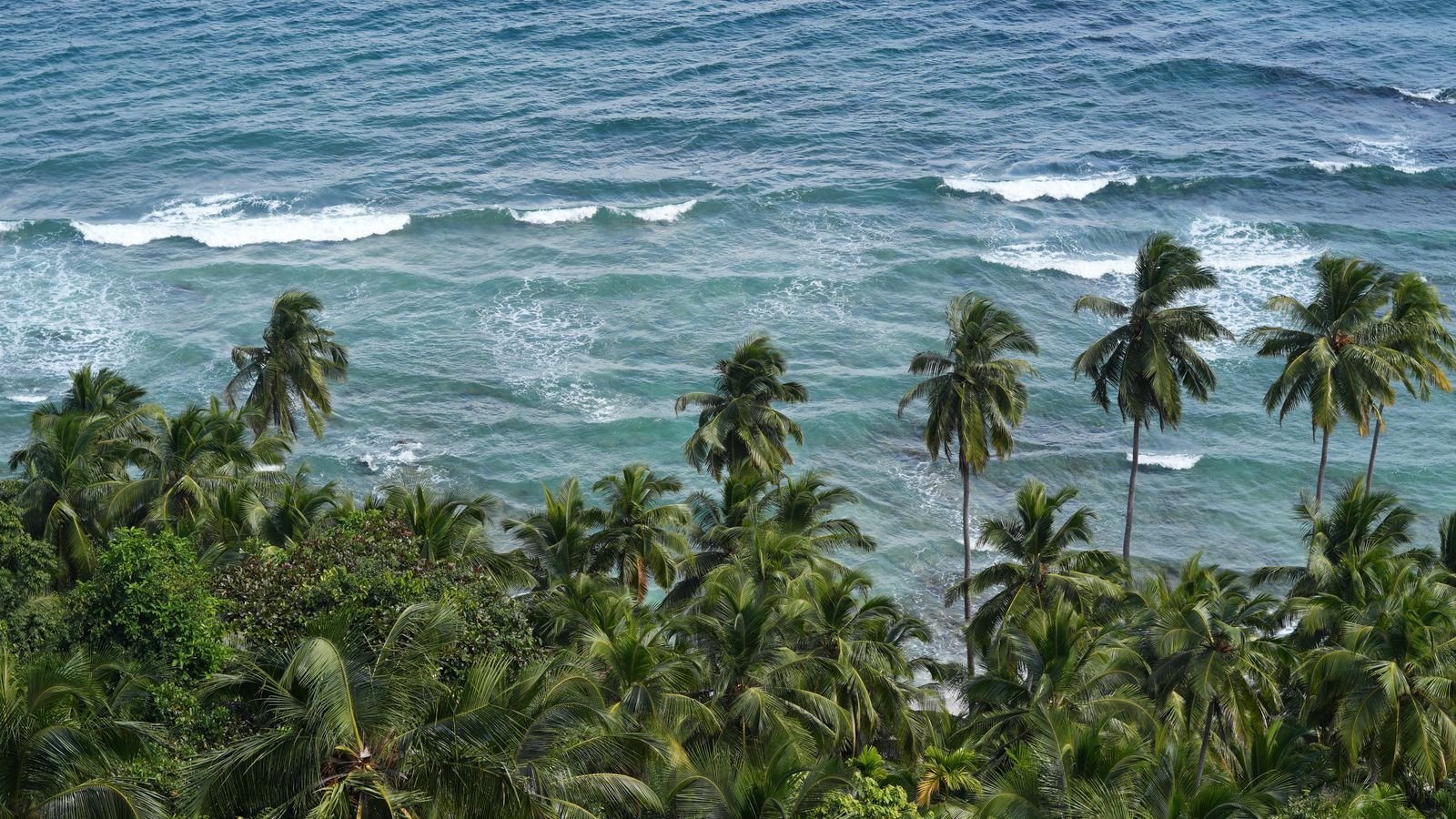 Scenic tropical coastal view with palm trees, Sao Tome and Principe