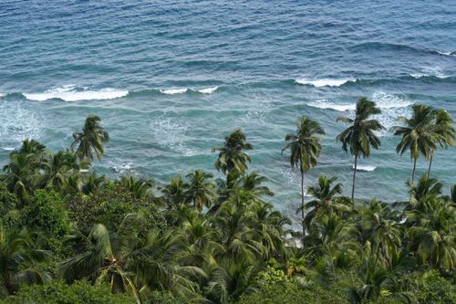 Free A picturesque view of a tropical coastline with lush palm trees and ocean waves. Stock Photo