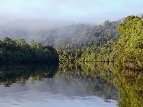 Free Stunning view of a calm lake reflecting lush Tasmanian forest under misty sky. Stock Photo