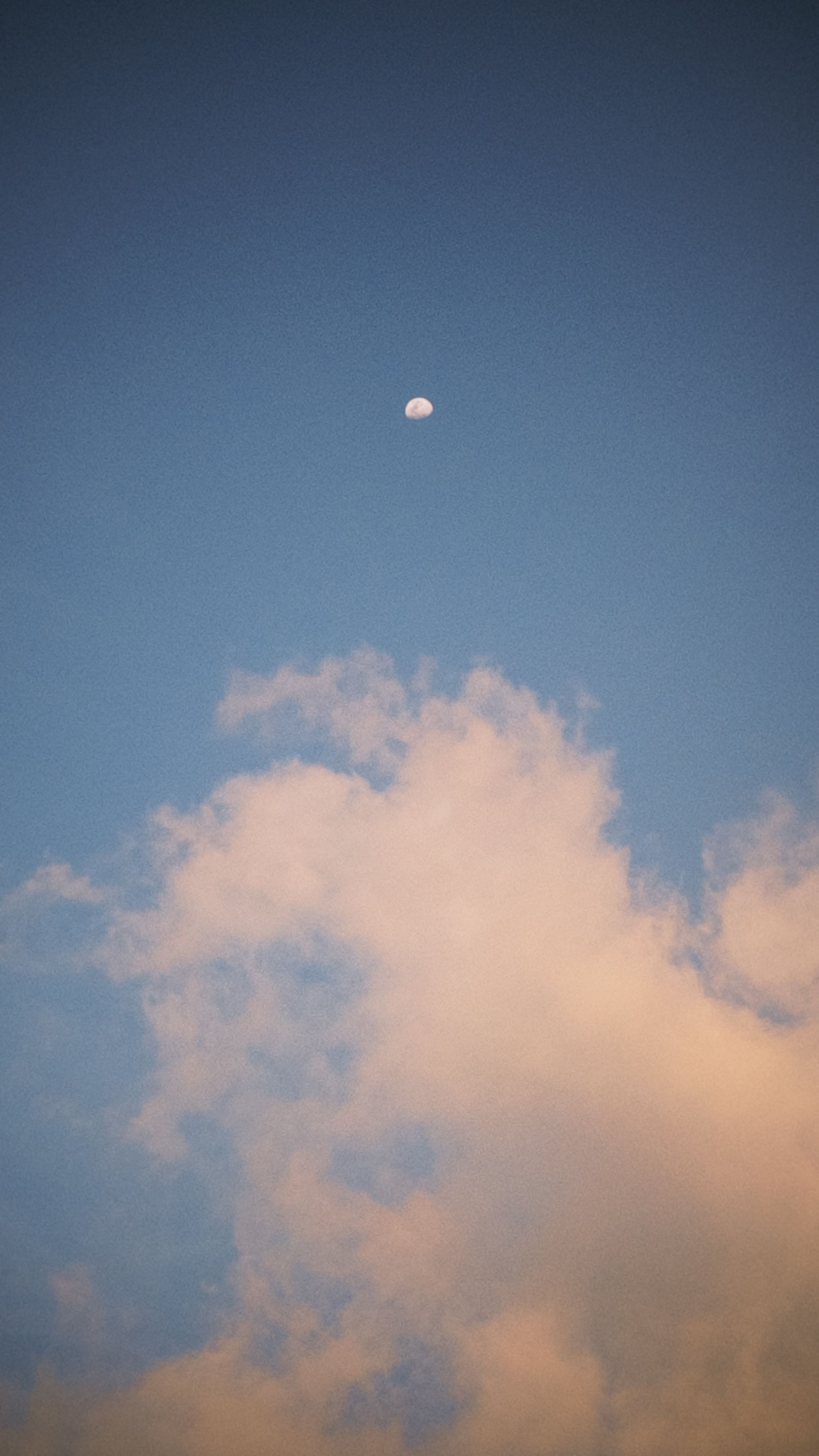 免费 宁静的傍晚天空，白云缭绕，半轮明月挂在蓝天之上。 素材图片