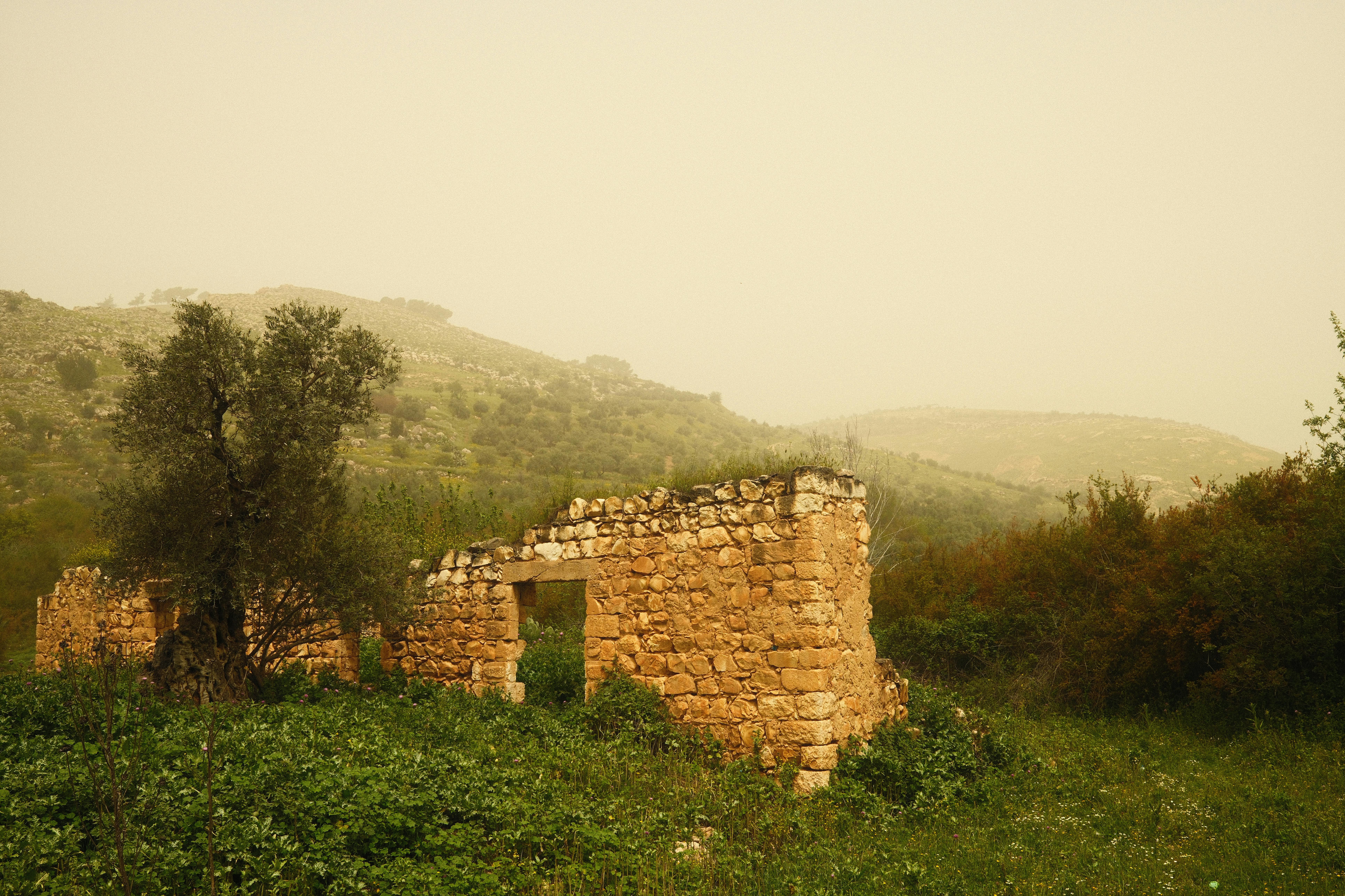 Explore the beauty of ancient stone ruins amidst a green hillside landscape.
