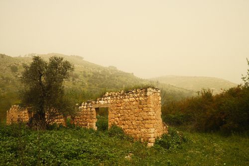 Free Explore the beauty of ancient stone ruins amidst a green hillside landscape. Stock Photo