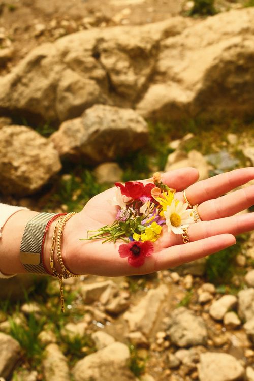 Free A hand displaying various colorful wildflowers against a rocky outdoor background. Stock Photo
