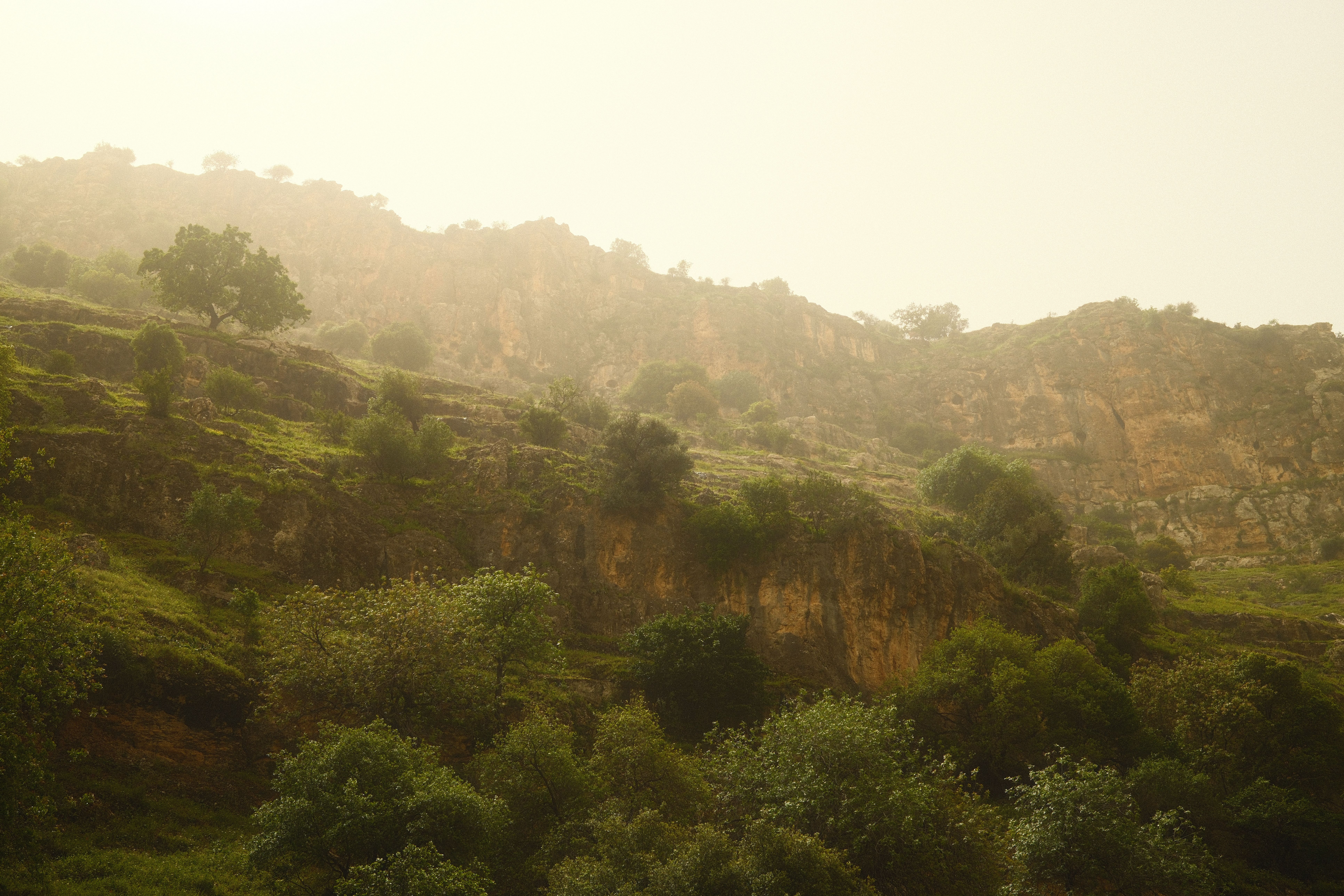 2 Day Private 1:1 MDMA Assisted Therapy Session in Andalucia 3