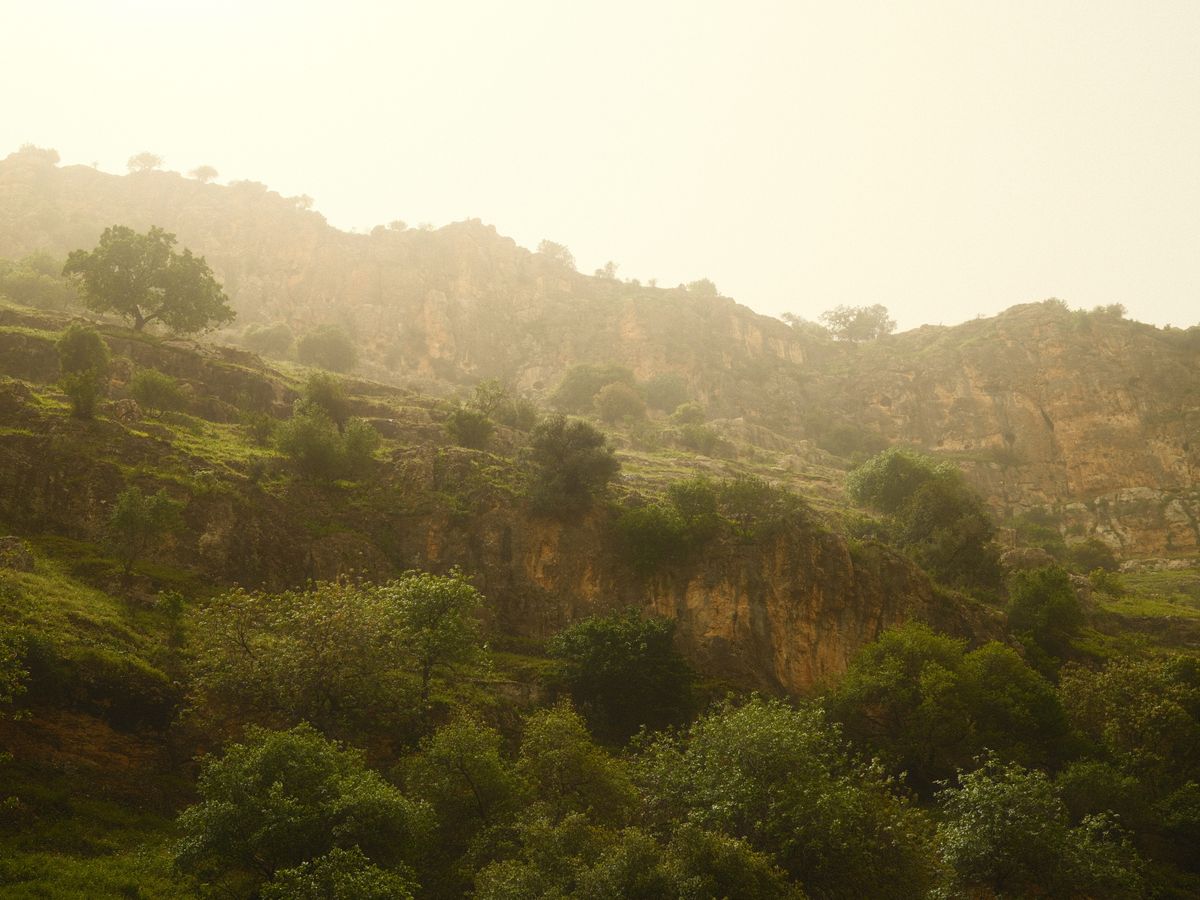 2 Day Private 1:1 MDMA Assisted Therapy Session in Andalucia 3