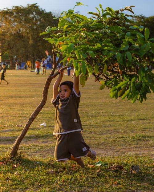 Free Young boy in park holding tree branches, enjoying outdoor play in Manila, Philippines. Stock Photo