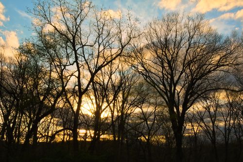 Free Silhouetted trees against a dramatic sunset sky with clouds, creating a peaceful natural scene. Stock Photo