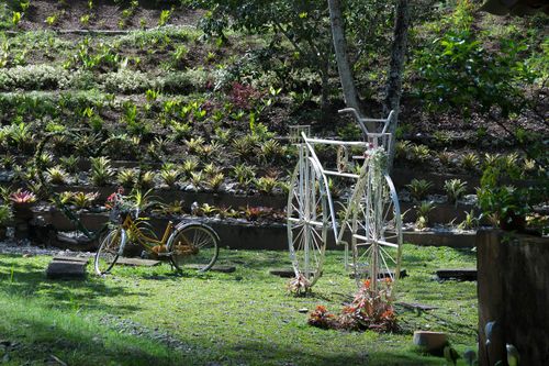 Free Decorative bicycle sculptures in a landscaped garden with greenery. Stock Photo