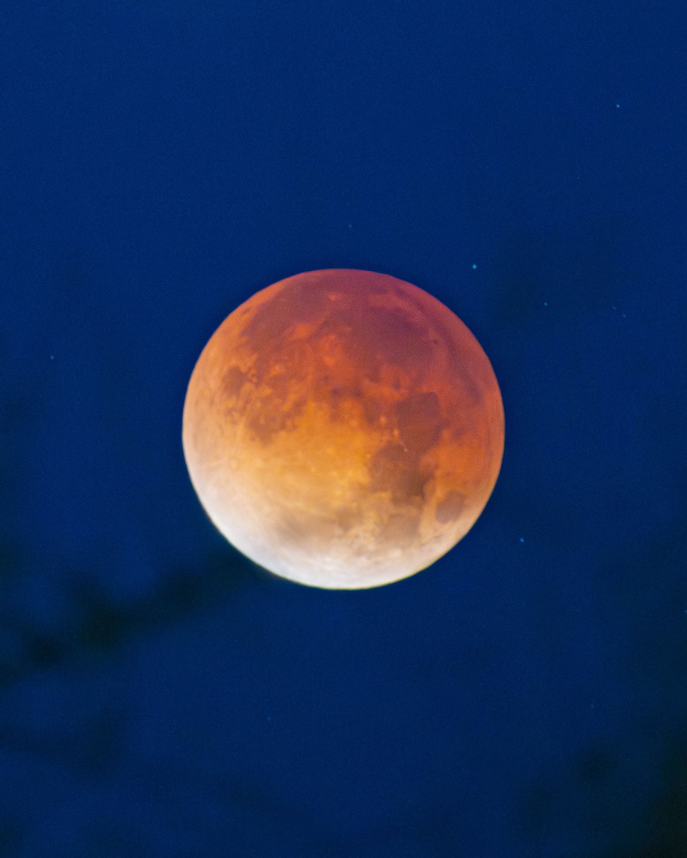 Stunning Blood Moon Lunar Eclipse at Night · Free Stock Photo