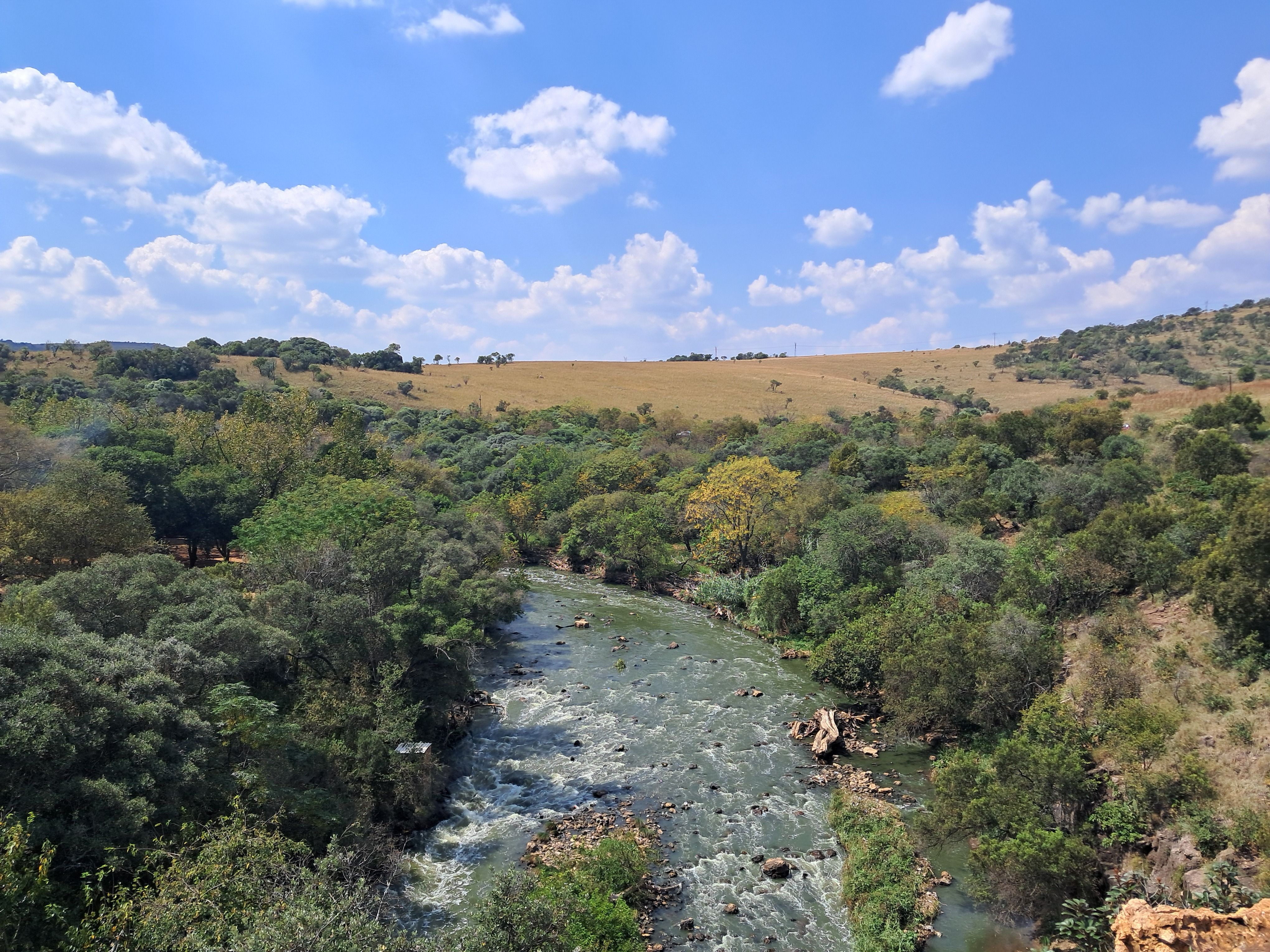 Serene Summer Landscape in Gauteng, South Africa · Free Stock Photo