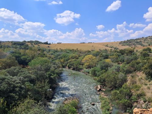 Free Lush riverine landscape in Gauteng, South Africa, under a vibrant blue sky. Stock Photo
