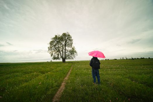 A person with a pink umbrella stands in a lush field under a cloudy sky near Pampore.