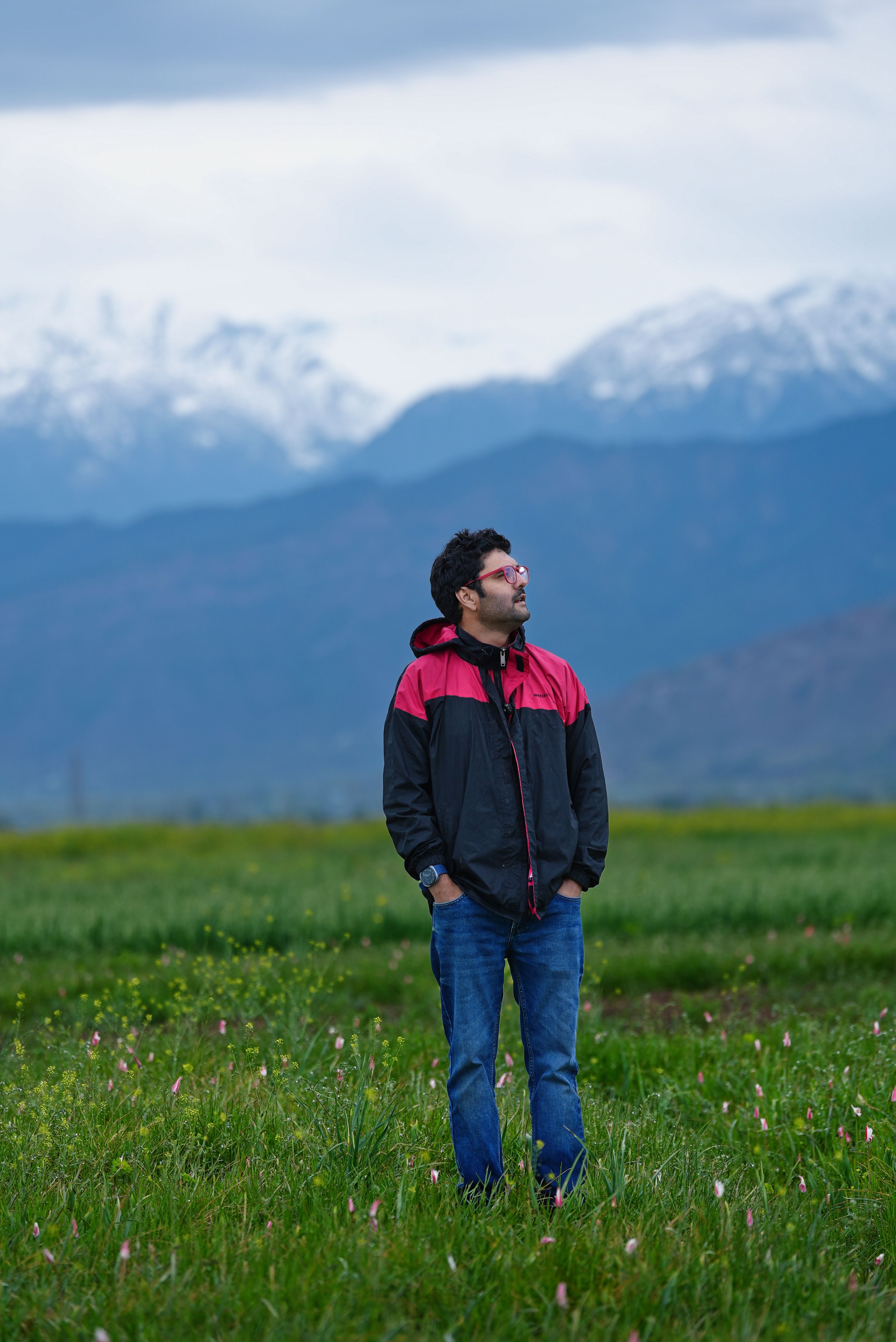 A man in a red and black jacket stands in a grassy field with snow-capped mountains in Pampore.