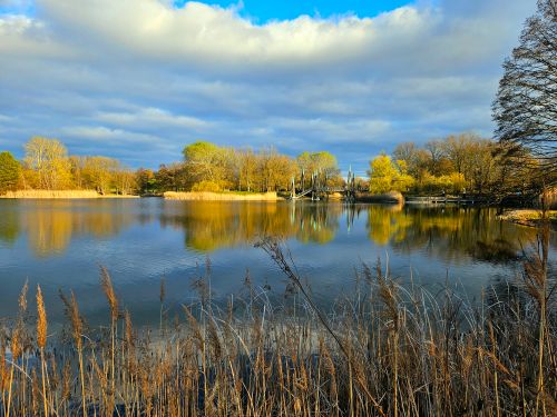 Free stock photo of britzpark Stock Photo
