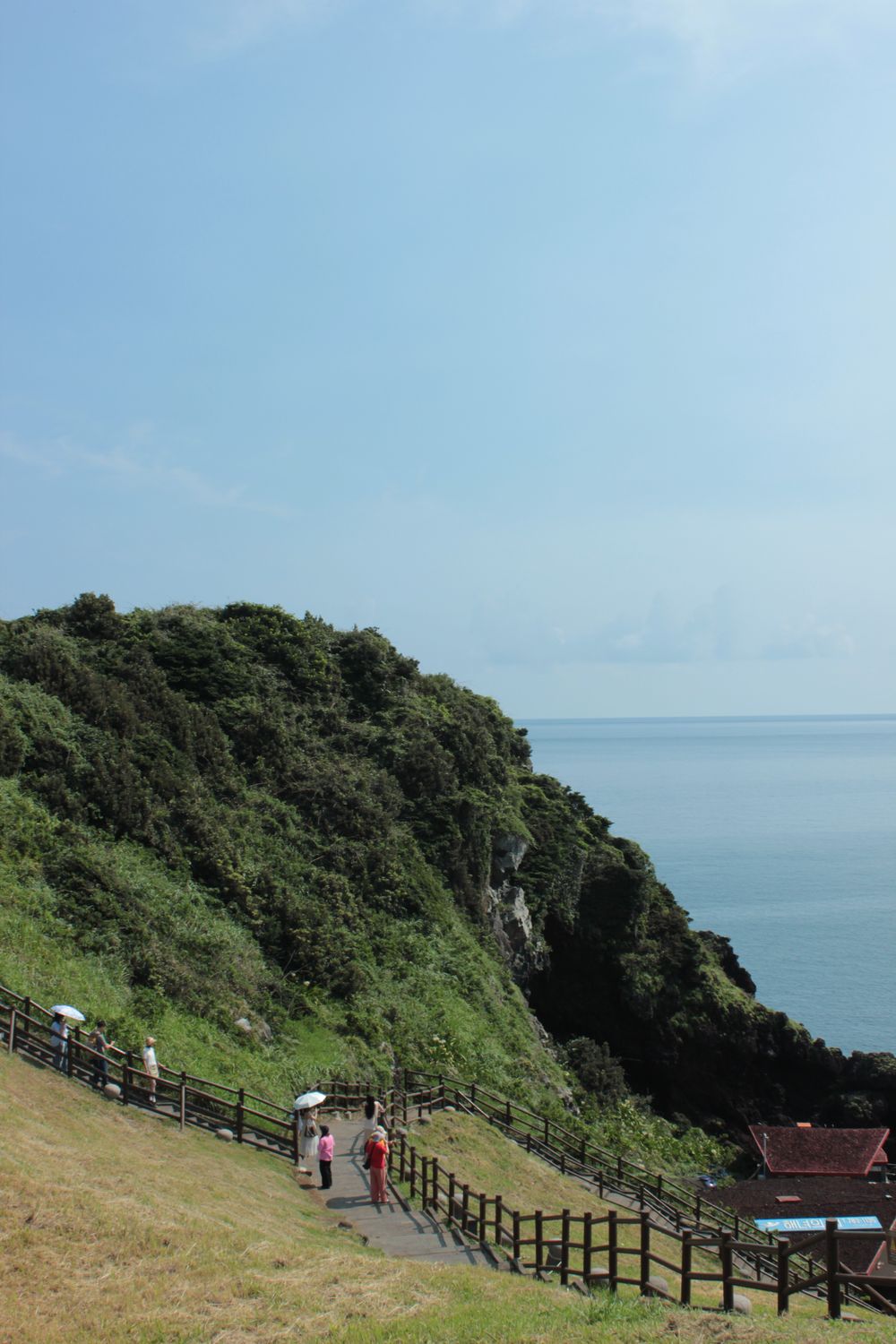 Scenic Coastal Path with Ocean View and Greenery · Free Stock Photo