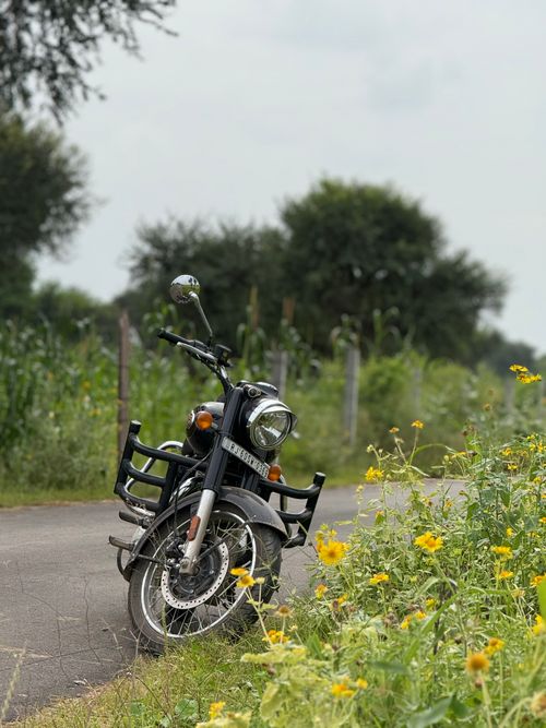 Free A classic motorcycle on a scenic rural road surrounded by lush greenery and wildflowers in Jaipur. Stock Photo
