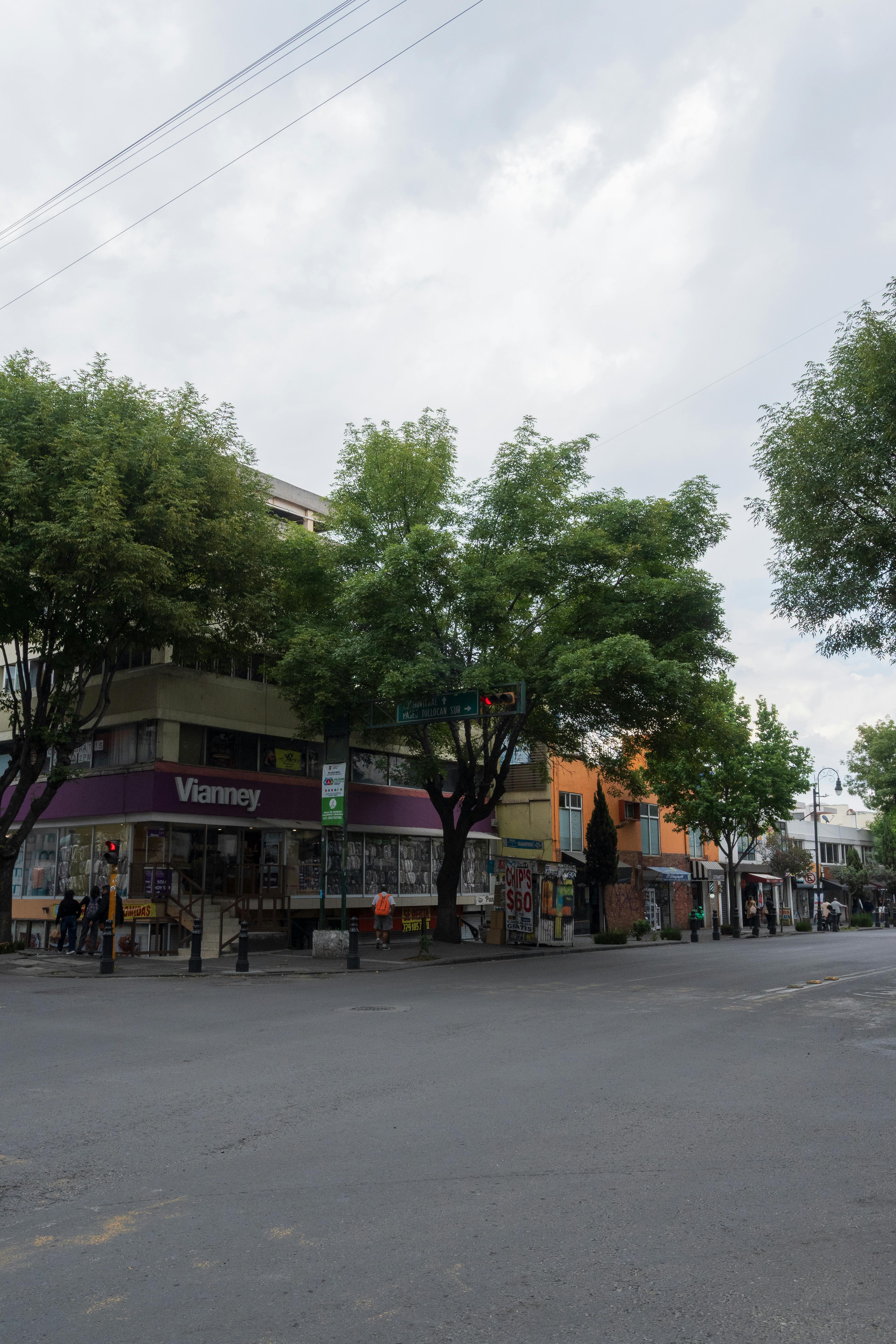 Urban scene in Toluca de Lerdo, showcasing street, buildings, and trees.
