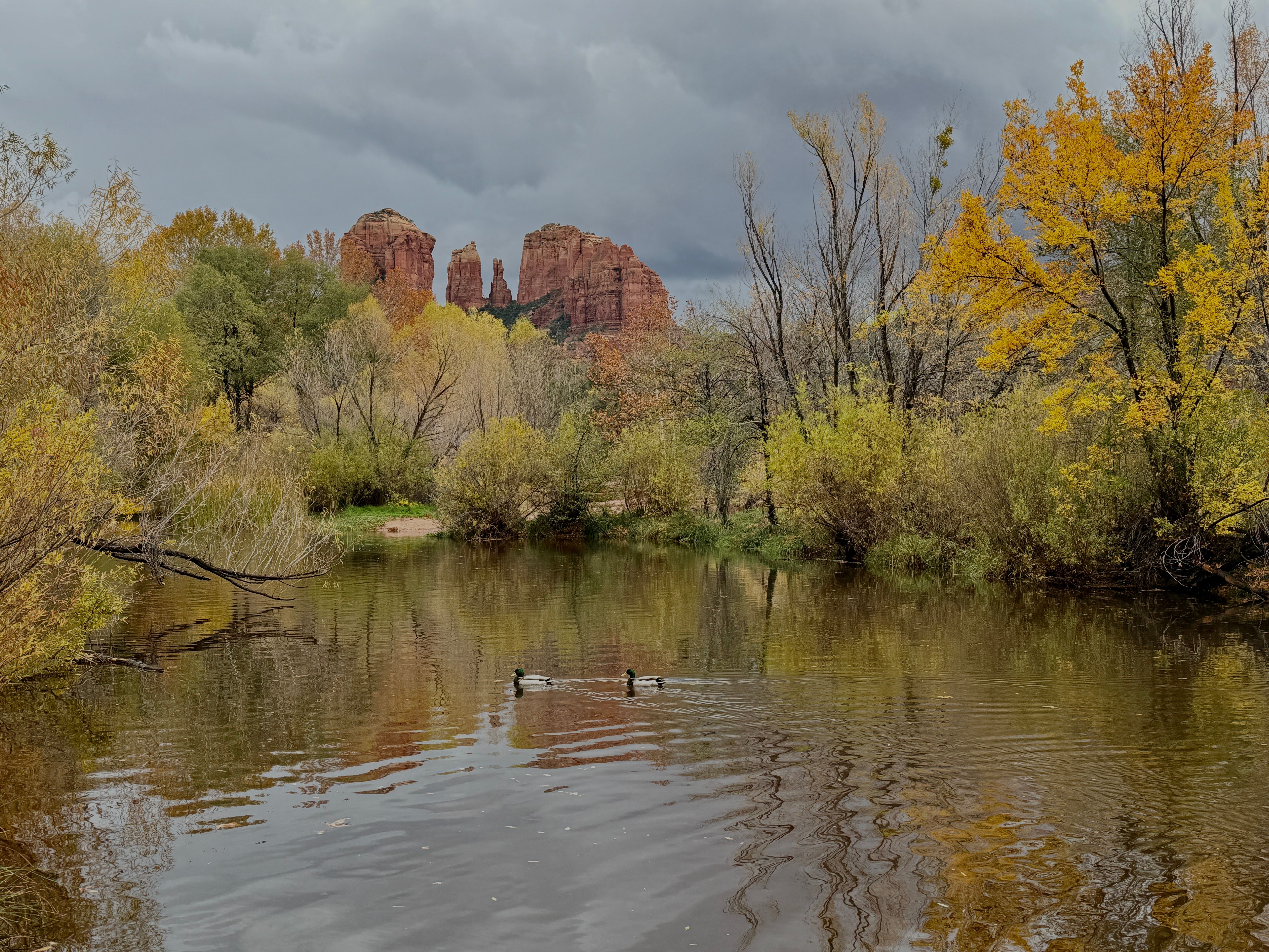 Oak Creek Canyon near Sedona, Arizona