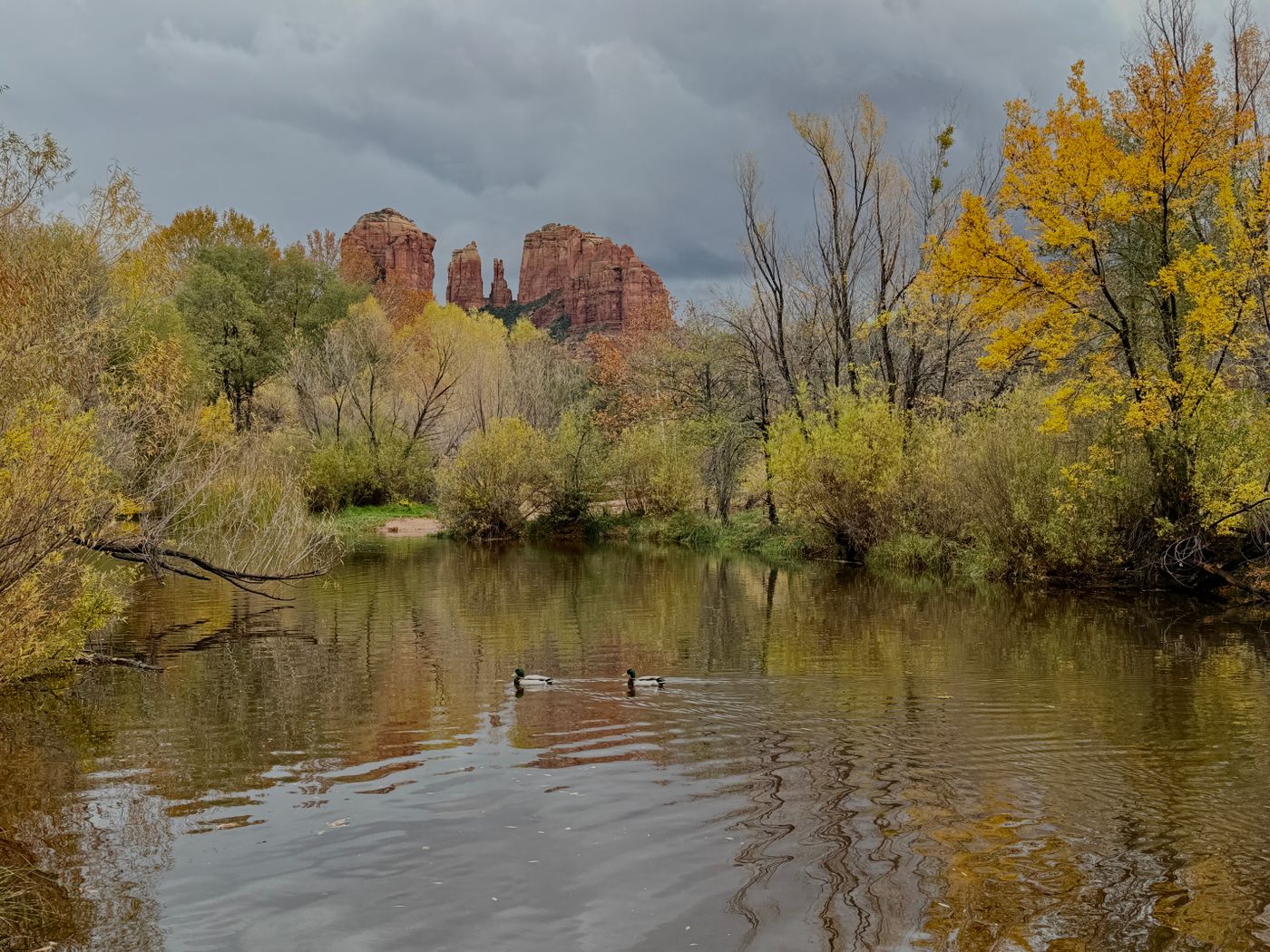 Oak Creek beneath Sedona’s red rocks and autumn cottonwood trees