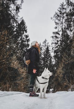 白雪皑皑的斯洛伐克森林中，一名妇女带着狗徒步旅行，展现出宁静的冬季美景