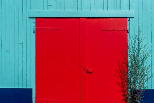 Free Bold red door on a bright blue wooden wall with dry shrub, showcasing vivid contrast and color. Stock Photo