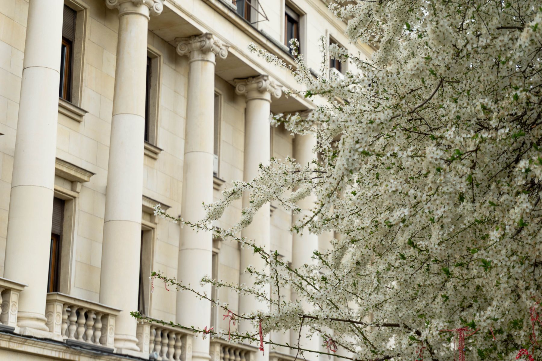 Magic Castle Hotel Sofia Review & Booking Guide