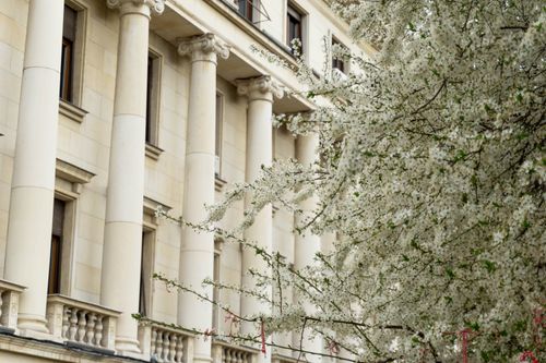 Free Charming view of classic architecture with blooming trees in Sofia, Bulgaria during spring. Stock Photo