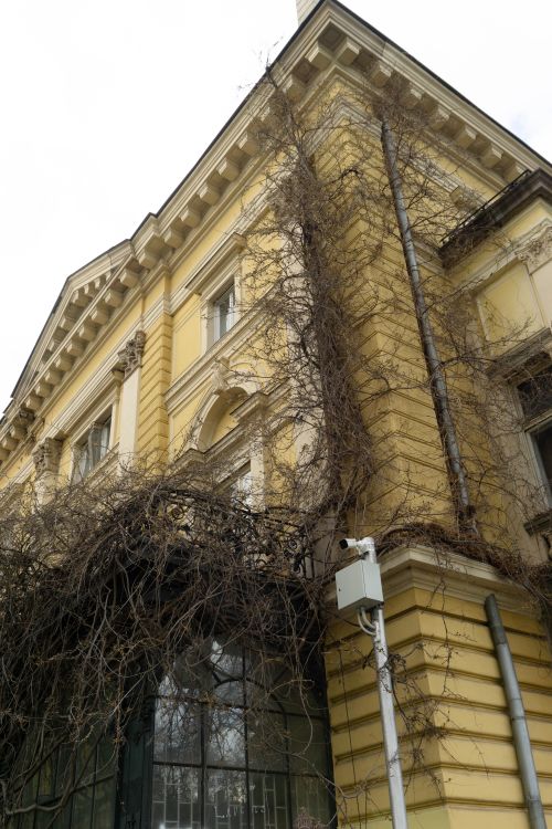 Free Old yellow building facade with bare climbing vines, showcasing vintage architecture with a security camera in view. Stock Photo